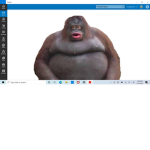 the poopers poop