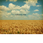 Hillford IL, USA
