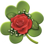 IrishRose’s Closet