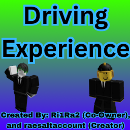 Driving Experience