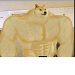 Its a muscular doge