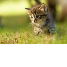 Say hi.