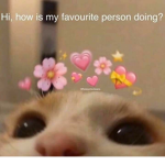 happyAmy0310's fans