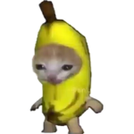 Banana Cat Group!