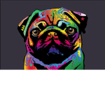 RainbowPugz