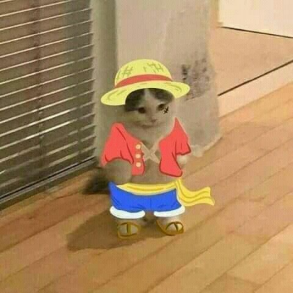 one piece cat Roblox decal