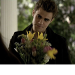 steffy boy