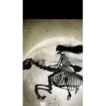Golden riders academy