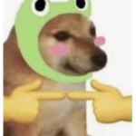 Ya z u mi -> ~ Ni k o