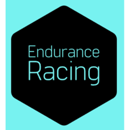 Endurance Series Racing Track
