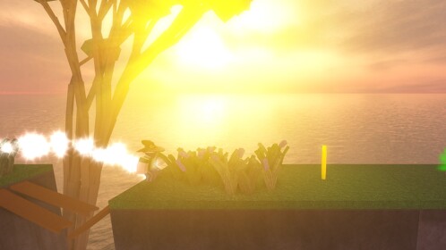 Sunset Race