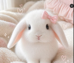 love4bunnies