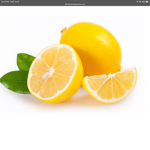 Lemon Cult Society
