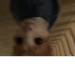 Hey I’m noor v join my group I’ll give robux