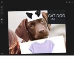 Cult Of The Cat Dog