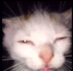 2PKWYA