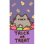 ! Pusheen