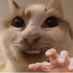 hemy cult