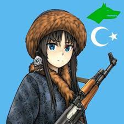 (İVT) TÜRK ASKER OYUNU (1.1)