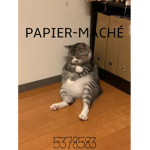 PAPIER-MÂCHÉ