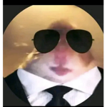 Cant you robux