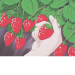 Strawberries secrets