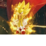 Sonic fan club bro