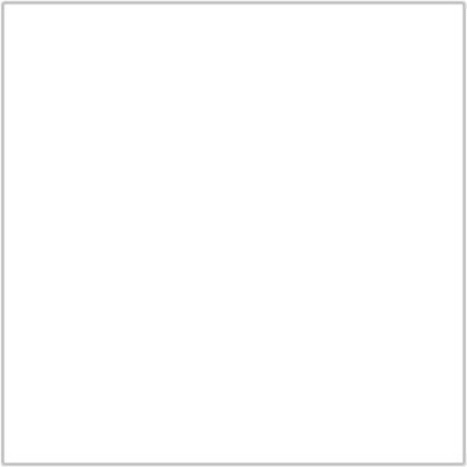 1 Pixel Thick White Border, 100x100 Roblox decal