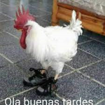 tomate esquizofrenico