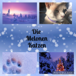 Die Melonen Katzen