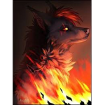 Wolfy group_5