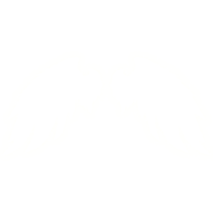 (EMISSIVE) White Glowing Wings