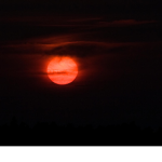 Maroon Sky