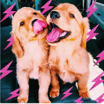 adorbsxmauii