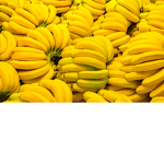Silly Goofy Bananas