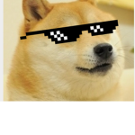 THE ELITE SAVAGE DOGES