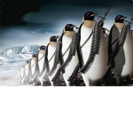 Doug’s Penguin Squad