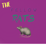 we r the fellow rats