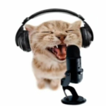 rapper cat fan club