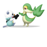 The World of Pokemon