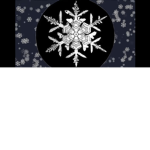 Snowflakes rule
