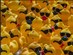 +Ducky_Studios+