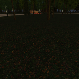 Forest of ДжонГом