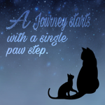 Warrior cats Sunclan and Moonclan RP