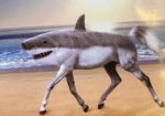 Horks