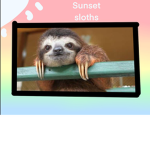 Sunset sloths Group