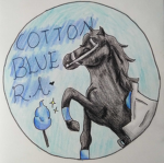 Cotton Blue Riding Academy