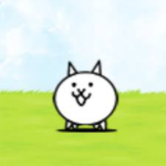 when the when when the when the the cat