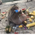 confitería !!