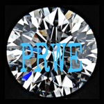 PRWE (Platin Ro Wrestling Elite)